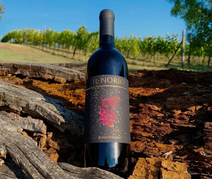 Vino Rosso Toscano, in base san giovese, riserva invecchiata in rovere 3 anni